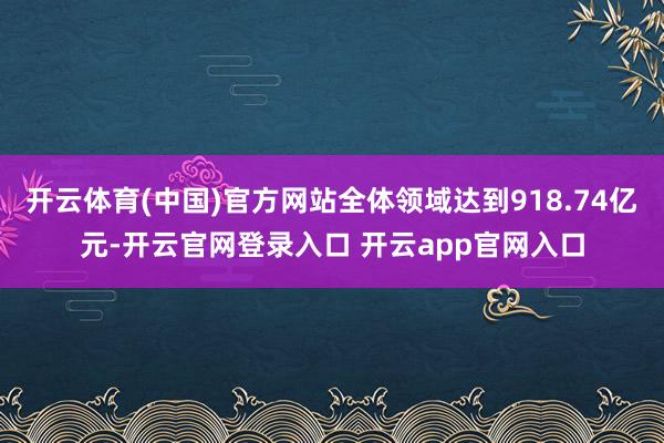 开云体育(中国)官方网站全体领域达到918.74亿元-开云官网登录入口 开云app官网入口