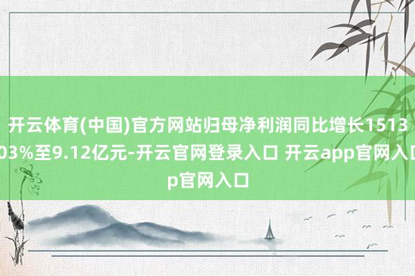 开云体育(中国)官方网站归母净利润同比增长1513.03%至9.12亿元-开云官网登录入口 开云app官网入口
