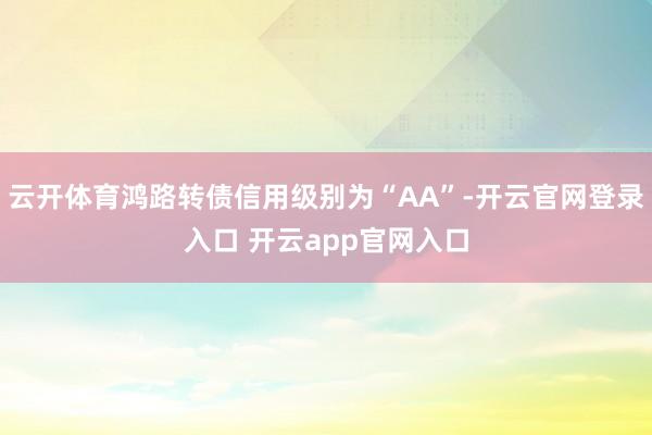 云开体育鸿路转债信用级别为“AA”-开云官网登录入口 开云app官网入口
