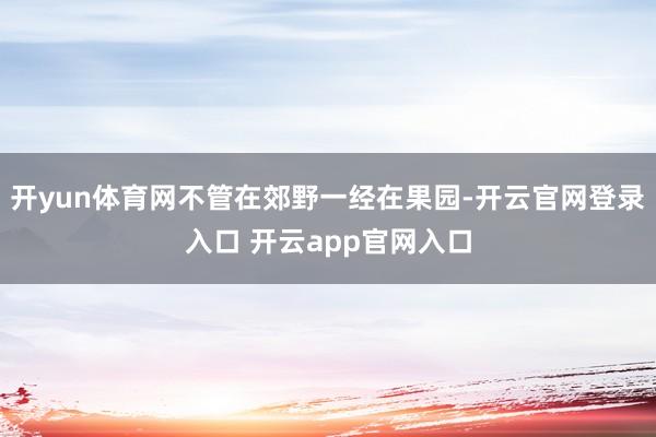 开yun体育网不管在郊野一经在果园-开云官网登录入口 开云app官网入口