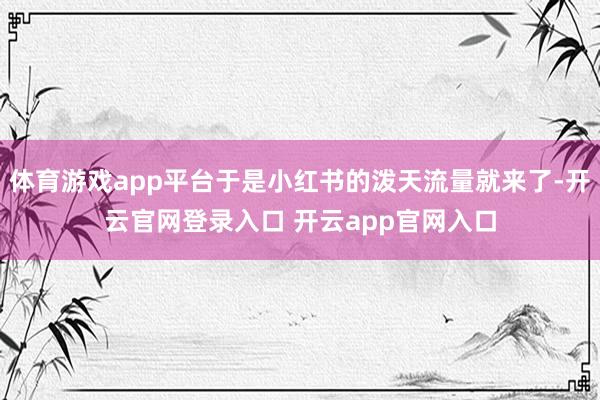 体育游戏app平台于是小红书的泼天流量就来了-开云官网登录入口 开云app官网入口